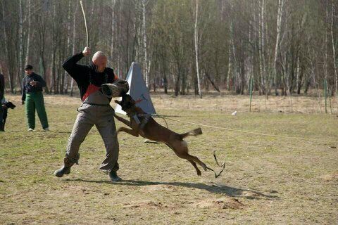 +79057700078 звонок из У Зевса