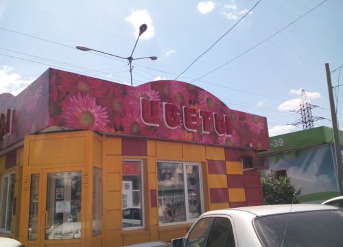 +79058510001 звонок из Радуга цветов