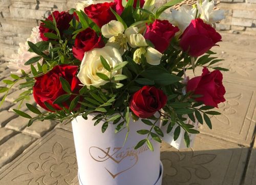 +79058550024 звонок из Камелия