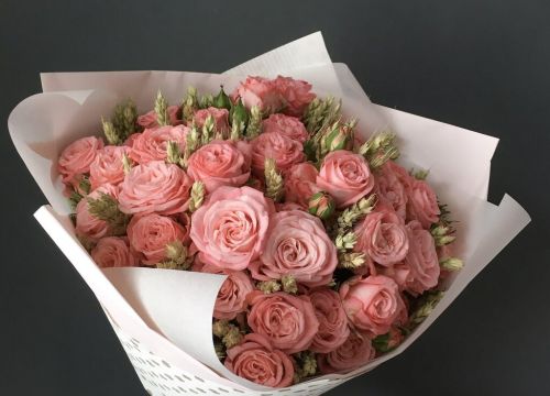 +79058550024 звонок из Камелия