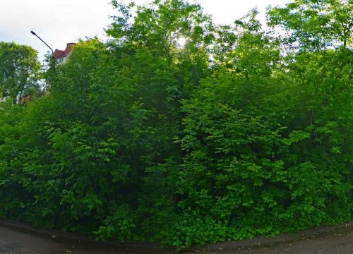 +79058711707 звонок из ТСЖ Верхосунская 18