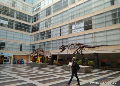 +79060300055 звонок из AmaJ