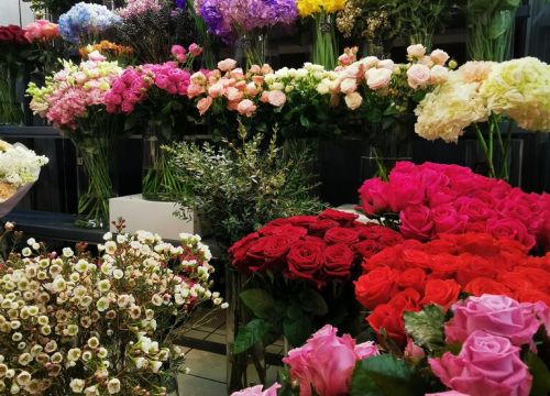 +79060310526 звонок из Цветы и Куклы