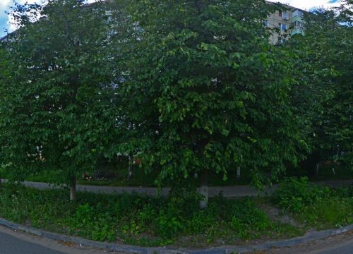 +79060710107 звонок из Мастер зеркального панно