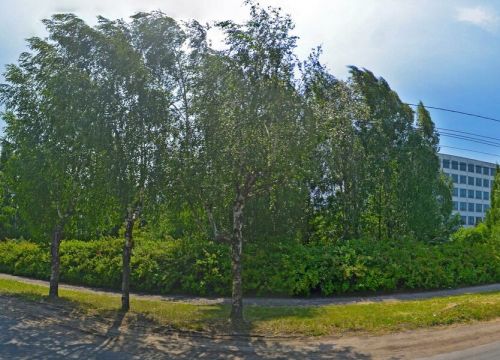 +79061370352 звонок из Техник