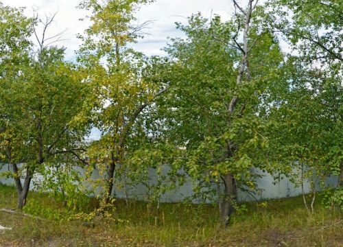 +79063650615 звонок из BigDog 4x4 Garage