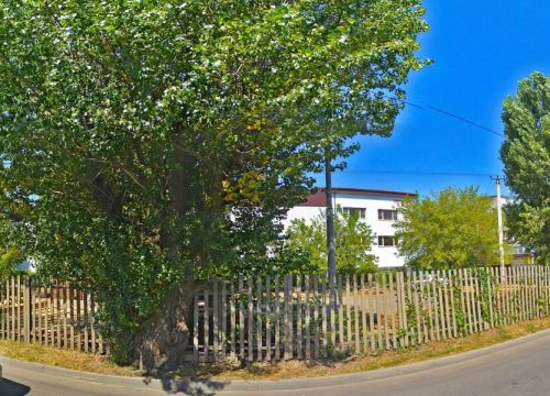 +79064792057 звонок из Тодем