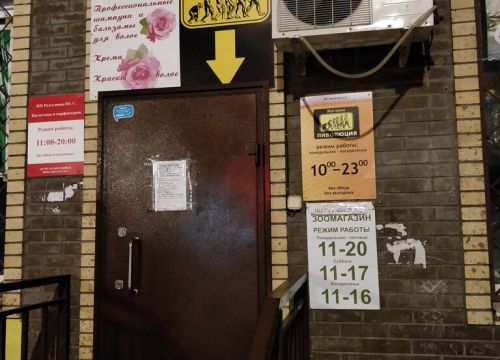 +79065252424 звонок из Пиволюция