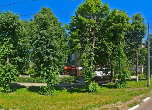 +79065300080 звонок из Goldfish