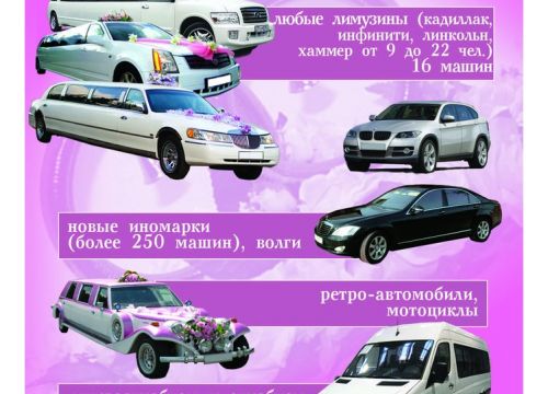 +79066200000 звонок из Avto 71