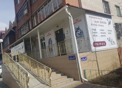 +79080434343 звонок из Ветеринарная практика доктора Денисова