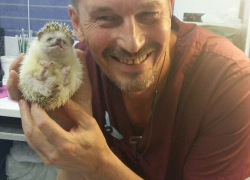 +79080434343 звонок из Ветеринарная практика доктора Денисова