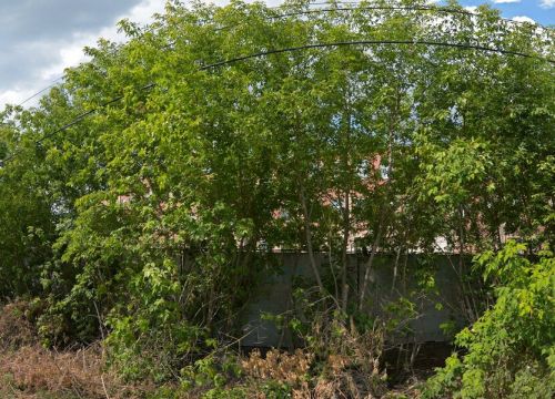 +79081057126 звонок из Катарина