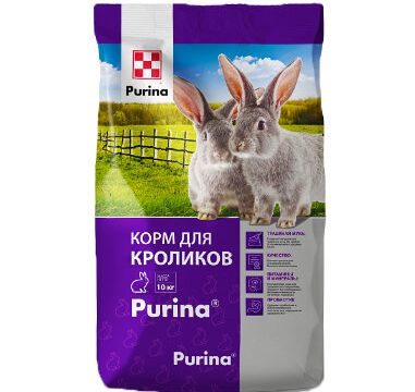 +79081231812 звонок из Purina