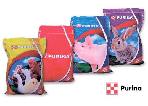 +79081231812 звонок из Purina