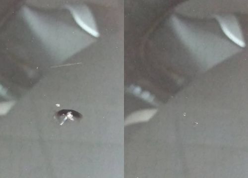 +79081343009 звонок из Ремонт автостекол