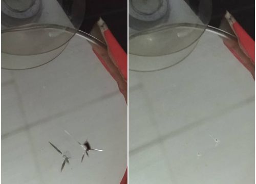 +79081343009 звонок из Ремонт автостекол