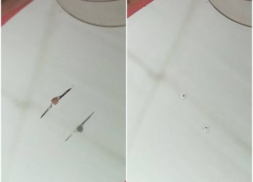 +79081343009 звонок из Ремонт автостекол