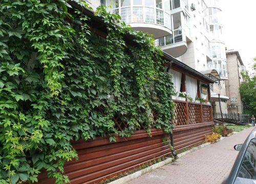 +79082772010 звонок из Хинкальная