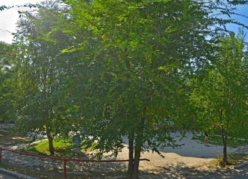 +79086111434 звонок из Консалтинговый центр Бизнес-Контакт