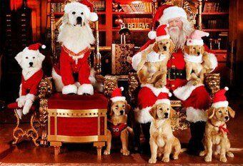 +79086615016 звонок из Контактный мини зоопарк Zola