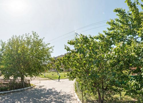 +79086812034 звонок из Питомник шарпеев