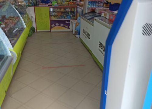 +79087254549 звонок из Авокадо