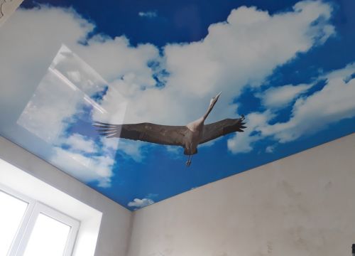 +79088741075 звонок из Галактика