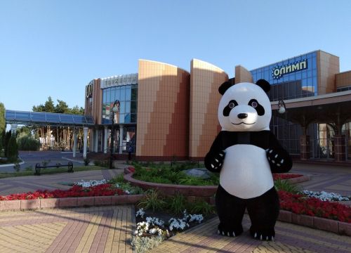 +79092121121 звонок из Медведи шоу Воронеж