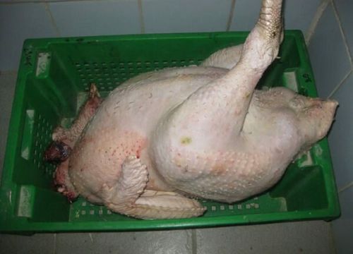 +79092129717 звонок из ЛПХ у Бабушки