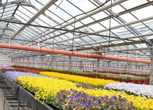 +79092190057 звонок из Аквасистема