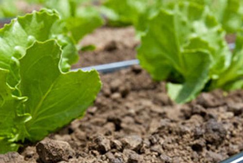 +79092190057 звонок из Аквасистема