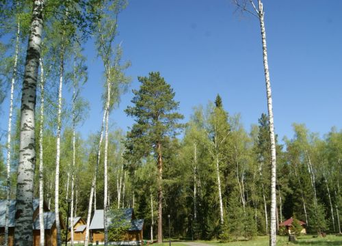 +79092722242 звонок из Парк-отель Озерки