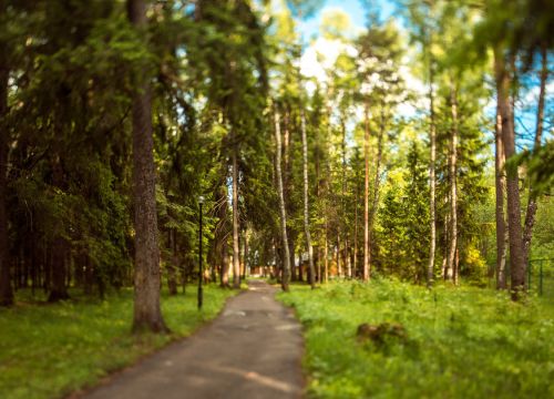 +79092722242 звонок из Парк-отель Озерки