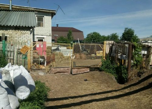 +79092990329 звонок из Казачий конный клуб