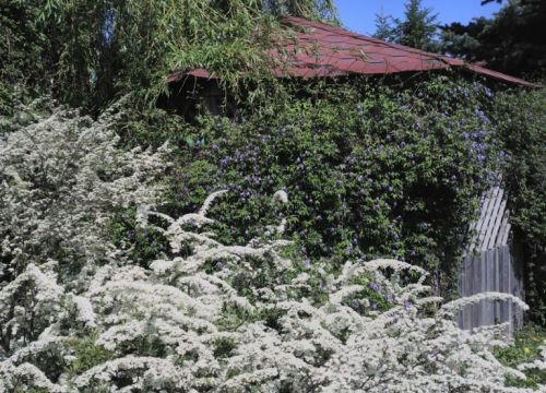 +79093120128 звонок из Новый садовник