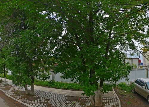 +79093512929 звонок из Филтэк