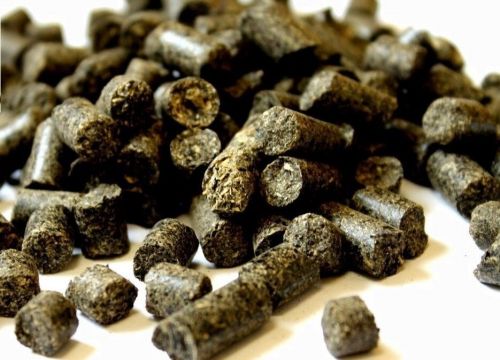 +79093600828 звонок из Прогресс-В