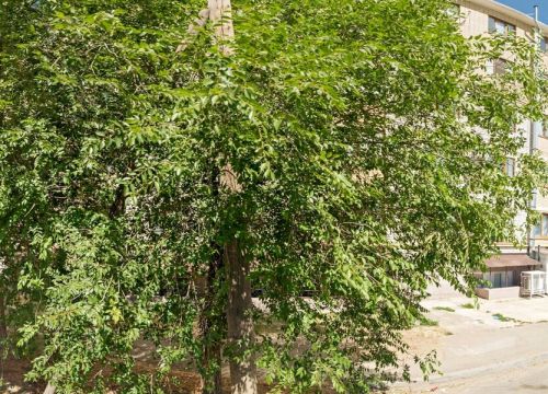 +79093991414 звонок из Дизайнерское агентство Гармония