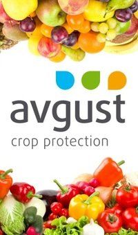 +79097970553 звонок из Август