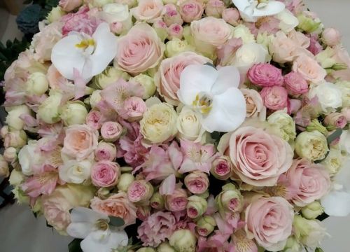 +79099160916 звонок из Цветы Подарки