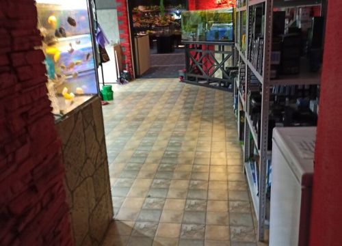 +79099190248 звонок из Ваш аквариум