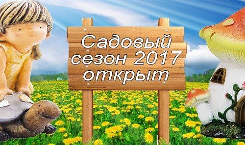 +79099190299 звонок из Деловой Партнер