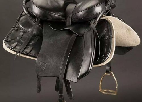 +79099610022 звонок из Шорная мастерская Скиф