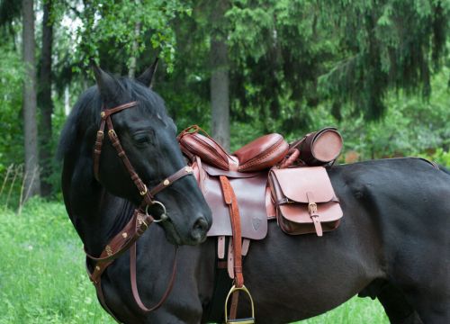 +79099610022 звонок из Шорная мастерская Скиф