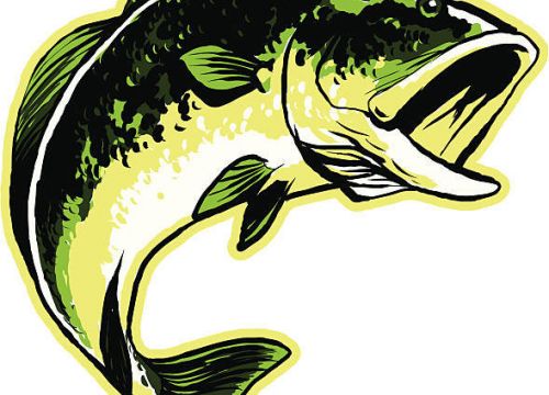 +79099990188 звонок из Рыба для пруда