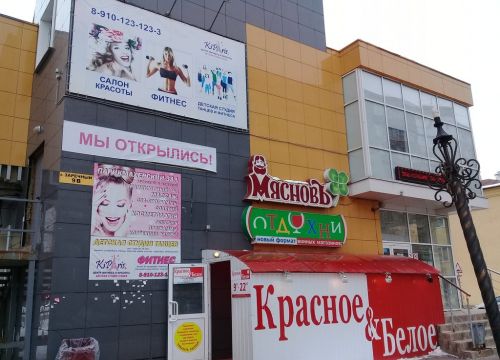 +79101231233 звонок из Кипарис