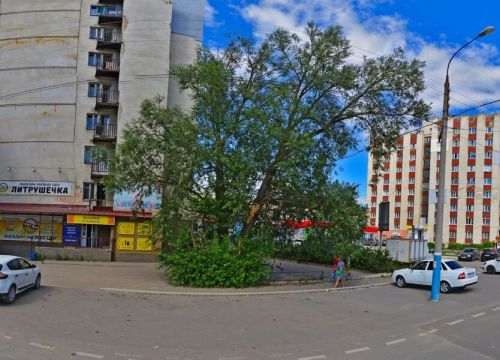 +79101320999 звонок из Золотой телёнок