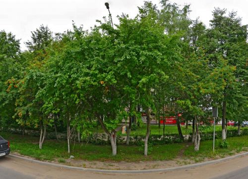 +79101420009 звонок из Цифра