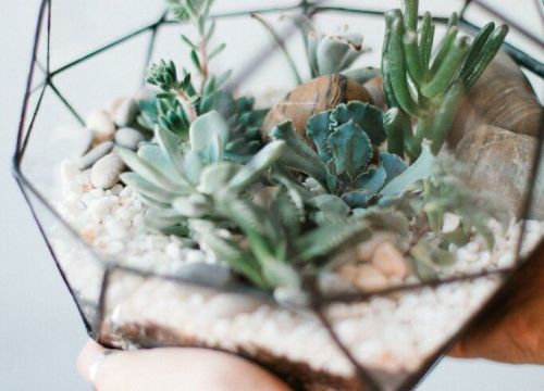 +79101421337 звонок из Vetro Fiori